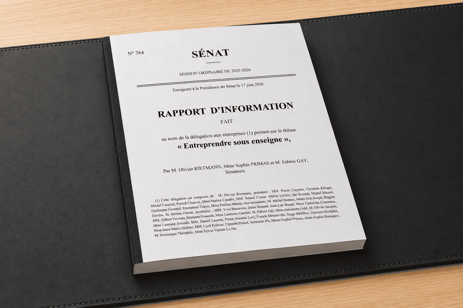 Rapport sénatorial "Franchise et location-gérance"